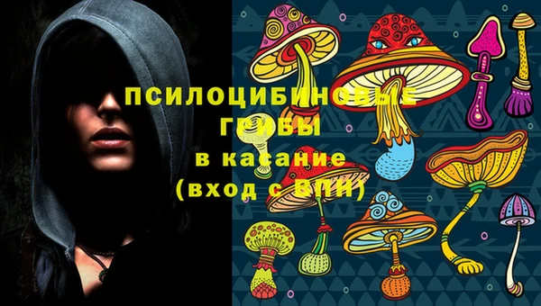 героин Белокуриха