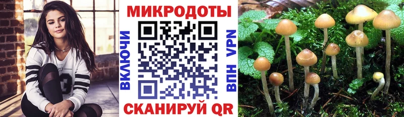 сколько стоит  Улан-Удэ  Псилоцибиновые грибы Psilocybine cubensis 