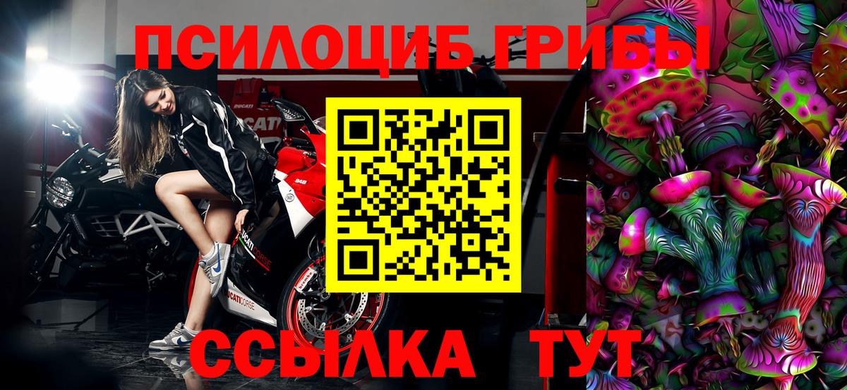 Псилоцибиновые грибы мухоморы Улан-Удэ