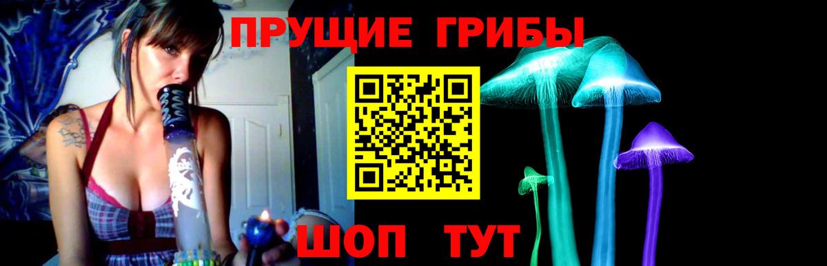 Улан-Удэ  Галлюциногенные грибы Psilocybine cubensis  Вход с VPN 